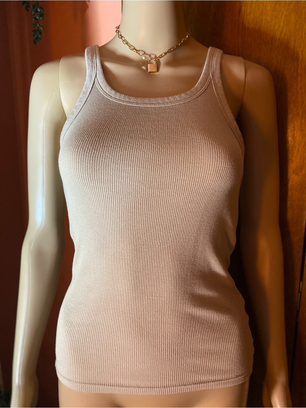 Aerie tank